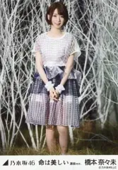 【中古】生写真(坂道シリーズ) 橋本奈々未/全身・両手重ね/「命は美しい 選抜ver.」WebShop限定生写真のサムネイル