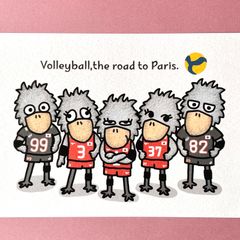 『バレーボール🏐〜ハシビロコウたちのパリオリンピックへの道〜』イラストカード💌