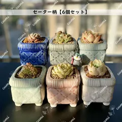N0319 韓国  3号 6個セット セーター柄 窯変 貫入 浮彫 植木鉢 室内 陶器鉢 多肉 植物 鉢植え 激安 レア インテリア プレゼント 海外 盆栽 おすすめ プランター 人気 デザイン 観葉植物