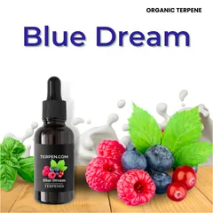 サティバ プレミアム長年人気の改良型# CRDP THXE CRDH cbn 楽天市場 | CBD Innovation - CBD Innovation 世界各国の厳選
