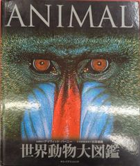 OLOR ANIMAL 仕掛け絵本 洋書 カタルーニャ語 - メルカリ