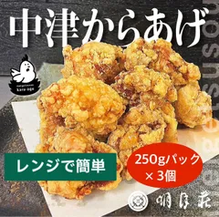 中津からあげ レンジで簡単タイプ【ミックス250g入パック】３個セット    おかず 酒のつまみ 冷凍食品 簡単調理 電子レンジ