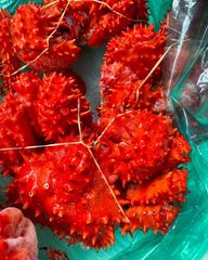 入荷‼️北海道産冷凍花咲蟹🦀　2杯セット