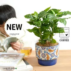 2025年最新】アラビア 植木鉢の人気アイテム - メルカリ