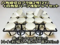 カネヤ＊八角鉢縁切立プラ鉢2号(2Y)(20鉢)＋四角型ハーフ浅型トレイセット＊カネヤ兼弥産業＊多肉植物・塊根植物コーデックス・アガベ・サボテン・盆栽・観葉・ハオルチア・アデニウム・パキポディウム・実生・さし芽・さし木＠フラワーショップ江口のサムネイル