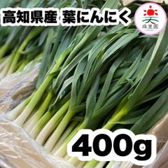 【1月15日頃〜順次発送】高知県特産‼️葉ニンニク 400g 即購入OK