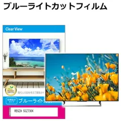 2025年最新】regza 55 有機elの人気アイテム - メルカリ
