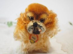 送料無料★シュタイフ★Pekinese Peky ID's完品★ペキニーズ★Steiff