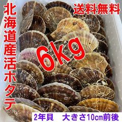 北海道産 活ホタテ 生食 殻つきホタテ バーベキュー 6kg 45-50枚前後