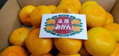 蒲郡ハウスみかん　2.5kg（家庭用）35～40粒