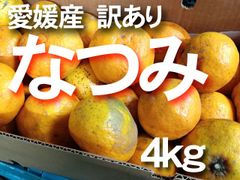 【送料無料】　愛媛産　なつみ　B　ご家庭用り　約4ｋｇ　柑橘　南津海