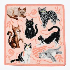 新品 フェイラー FEILER ハンカチ ハンドタオル 25cm レディース フレンズ アプリコット キャット 猫 ネコ ねこ 【ネコポス】