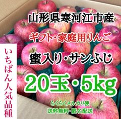 【贈答20玉・5kg】山形県寒河江市産 サンふじ りんご 蜜入り