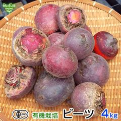 信州産ビーツ】4kg 【有機肥料使用・化学農薬不使用】 - メルカリ