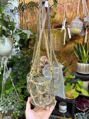 雑貨　ガラス　ハンギング　観葉植物　インテリア　グリーン　可愛い　オシャレ