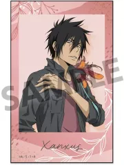 【中古】シール・ステッカー XANXUS インスタントフォト風ステッカー 「家庭教師ヒットマンREBORN!」