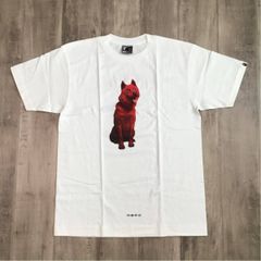 💥超激レア💥 アーカイブ品