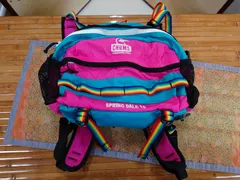チャムス CHUMS リュックサック ボディバッグ ファニーパック SPRING DALE 15スプリングデール　ピンクxネイビー