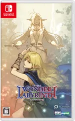 ロードス島戦記-ディードリット・イン・ワンダーラビリンス- - Switch [Amazon限定無し] [Switch版]