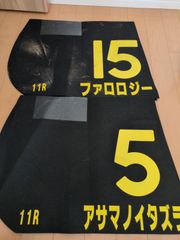 競馬　ゼッケン　実使用　2枚
