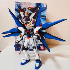 ストライクフリーダムガンダム　組み立て済み　ガンプラ　1/100 バンダイ