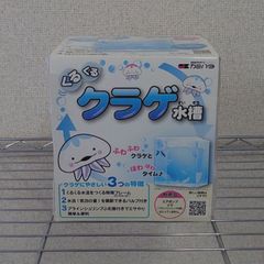 カミハタくるくるクラゲ水槽
