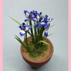 【在庫セール】テーブルガーデン アイリス 和巧 G-34