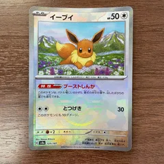 イーブイ　ブースター マスボセット イーブイ ブースター マスボセット 2025年最新】マスターボール