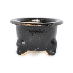 2025年最新】信楽 蘭鉢の人気アイテム - メルカリ