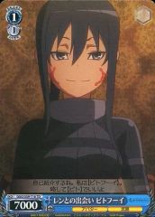 [중고]바이스슈발츠 GGO/S59-T16[TD]:렌과의 만남 피토푸이