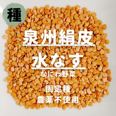 【種】ナス　泉州絹皮水なす　農薬不使用　30粒