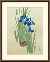 昭和レトロ 燕子花 水鶏図 花鳥 ツバメ あやめ 掛け軸 美術 芸術 アート 美品 掛け軸 酒井抱一筆 燕子花水鶏図 花鳥十二ヶ月 名画 夏掛け