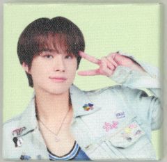 '[중고] 캔버스 보드·캔버스 아트 정우 랜덤 미니 포토 캔버스 [NCT 127 2ND TOUR 'NEO CITY:JAPAN - THE LINK']