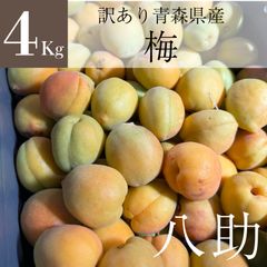 【北海道～中国四国エリア限定】　訳あり　青森県産　無選別八助梅（あんず）　4Kg　※クール便