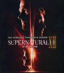 Item thumbnail for item e84f171a-e446-4dfc-be83-6a1cca7ac8c3