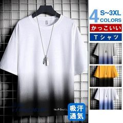 Ｔシャツ メンズ 半袖 夏服 プルオーバー トップス 20代 薄手 夏サマー おしゃれ アウトドア お兄系 配色切り替え 通学 シンプル ゆったり  vii4w296185