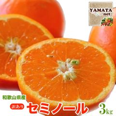 セミノール みかん 和歌山県産 セミノール オレンジ 訳あり 3kg