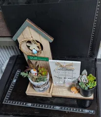 061402多肉植物の寄せ植え★飾り台付き★２個セット