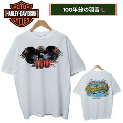 鬼フェード 超雰囲気系 USA製 90s XL 】SANTEE サンティ