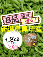 枝豆　格安【B品1.8kg】農家直送　新潟県黒埼産　えだまめ