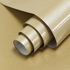 Item thumbnail for item 5d42b967-63ce-413b-a919-3070918c2684