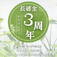 【⏰タイムセール⏰】のお知らせ