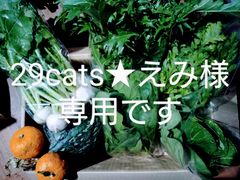 大根と野菜