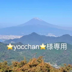 ⭐yocchan⭐様専用 - メルカリ