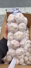 野菜セット３　[5月29日木曜日に入荷予定、入荷次第出荷]　生鮮  10kgニンニク + 10kgレモン + 5kg生姜 特選