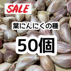 【希少】50 葉にんにくの種 サンミャオ 即購入OK