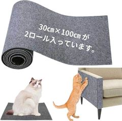 Item thumbnail for item 43ee44bb-1ac3-4570-8529-570d182c61e0