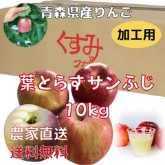 青森県産りんご　葉とらずサンふじ　加工用10kg