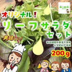 リーフサラダセット　☆農薬や化学肥料は使用しておりません　埼玉県産　約２００ｇ