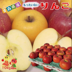 青森県産もったいない林檎　10kg箱入　品種はトキ！